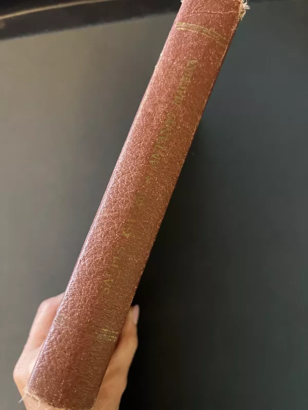 Saulės giesmė - Antanas Maceina, knyga 4