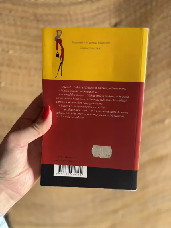 Sušis pradinukams - Marian Keyes, knyga 4