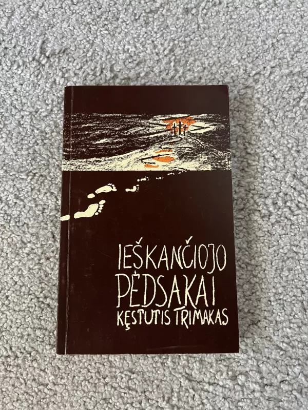 IEŠKANČIOJO PĖDSAKAI. Evangeliniai mąstymai - Kęstutis Trimakas, knyga 2