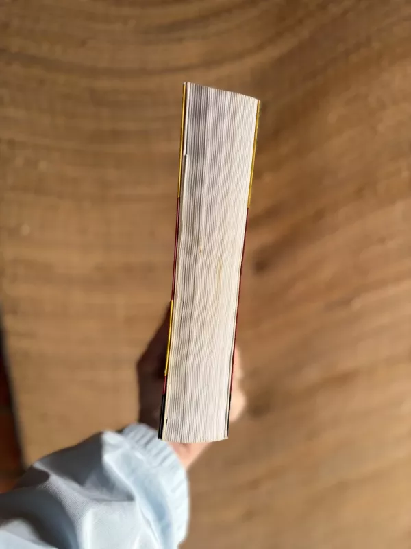 Sušis pradinukams - Marian Keyes, knyga 3