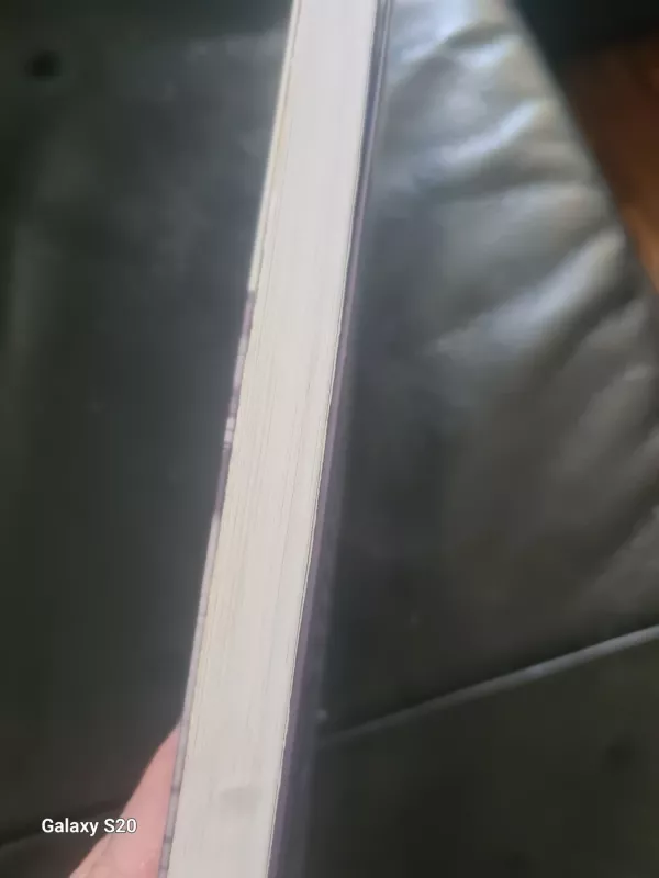 Divizija - Arūnas Daugėla, knyga 3