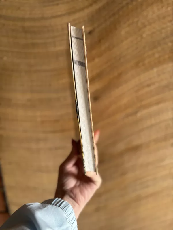 Lietuvos valstybės sienos apsauga 1918-1940 m.: žmonės ir įvykiai - Algis Balaišis, knyga 3