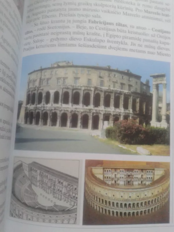 Amžinoji Roma - Dalia Dilytė, knyga 6