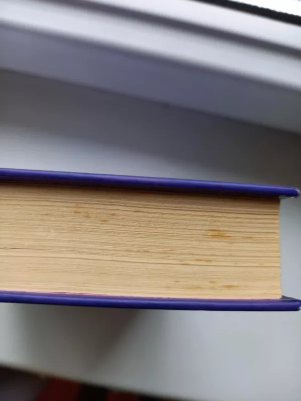 Amžinai - Alyson Noël, knyga 4