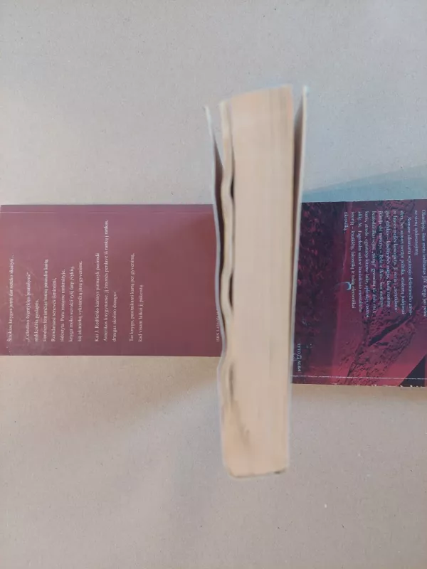 Gyvatynas (pirma dalis) - Polina Daškova, knyga 4