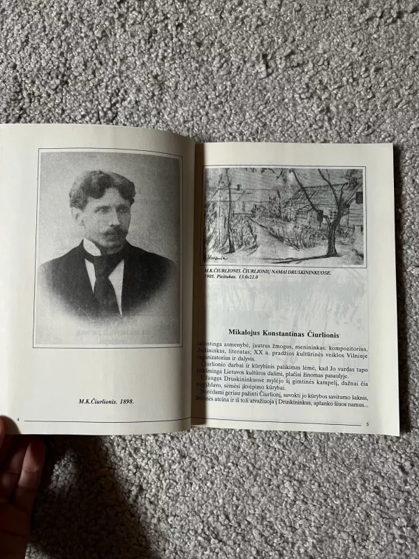 M. K. Čiurlionis ir Druskininkai - A. Nedzelskis, knyga 4