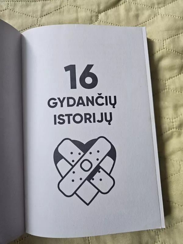 16 gydančių istorijų: kai gyvenimas užknisa - Rasa Borodina, knyga 3