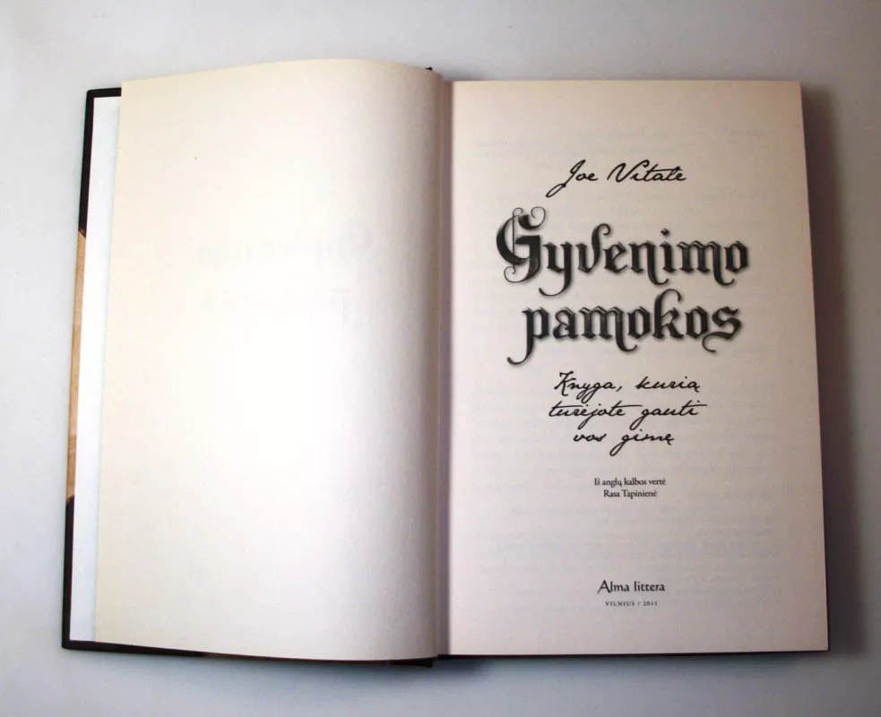 Gyvenimo pamokos - Joe Vitale, knyga 6