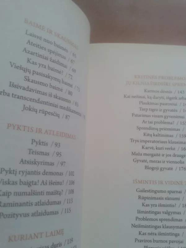 ATVERK SAVO ŠIRDIES DURIS: juokingos ir išmintingos budistinės istorijos kiekvienam gyvenimo atvejui - Ajahn Brahm, knyga 5
