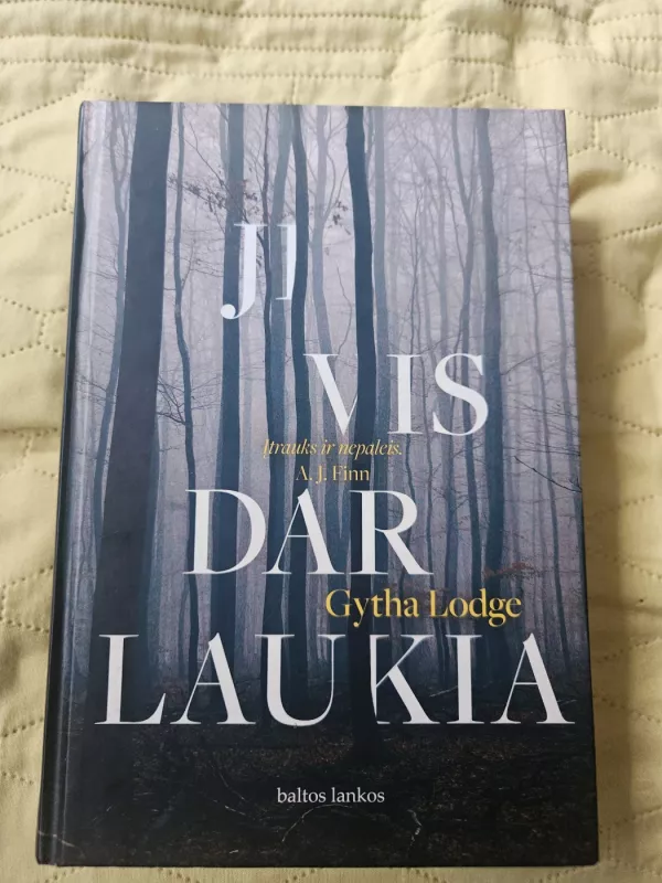 Ji vis dar laukia - Gytha Lodge, knyga 2