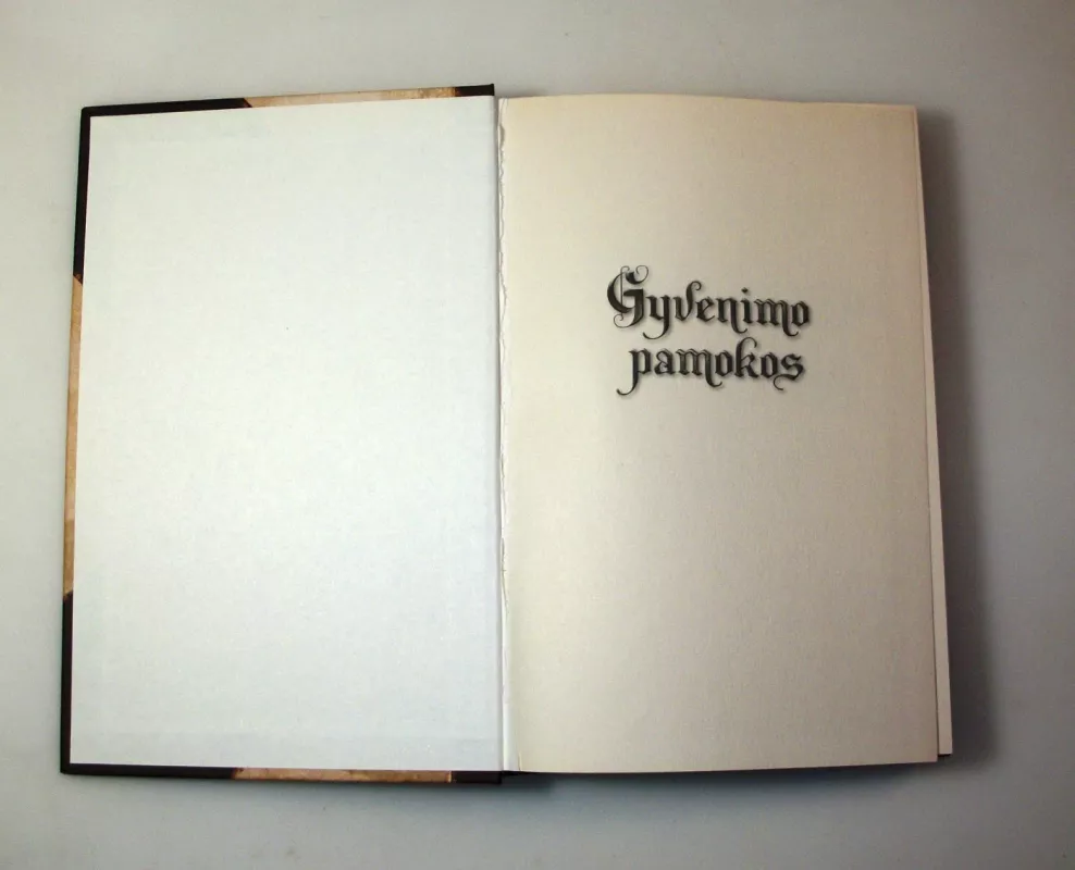 Gyvenimo pamokos - Joe Vitale, knyga 5