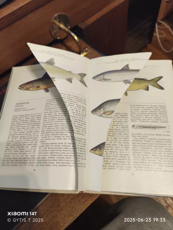 Lietuvos žuvys - Juozas Virbickas, knyga 4