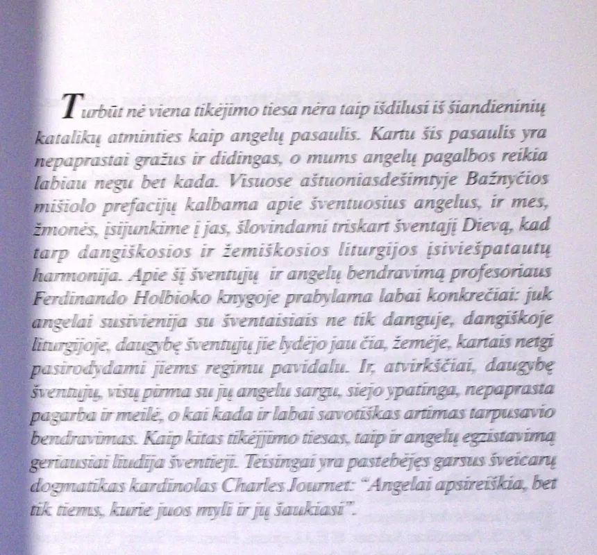 Drauge su angelais ir šventaisiais - Ferdinand Holbock, knyga 5