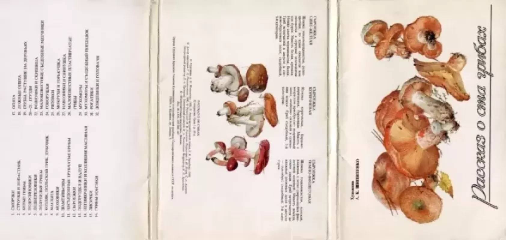 Raskaz o sta gribax - A.K.Sipilenko, knyga 5