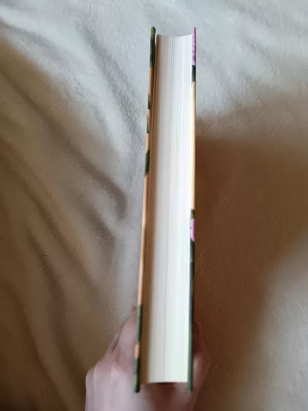 Violeta - Isabel Allende, knyga 3