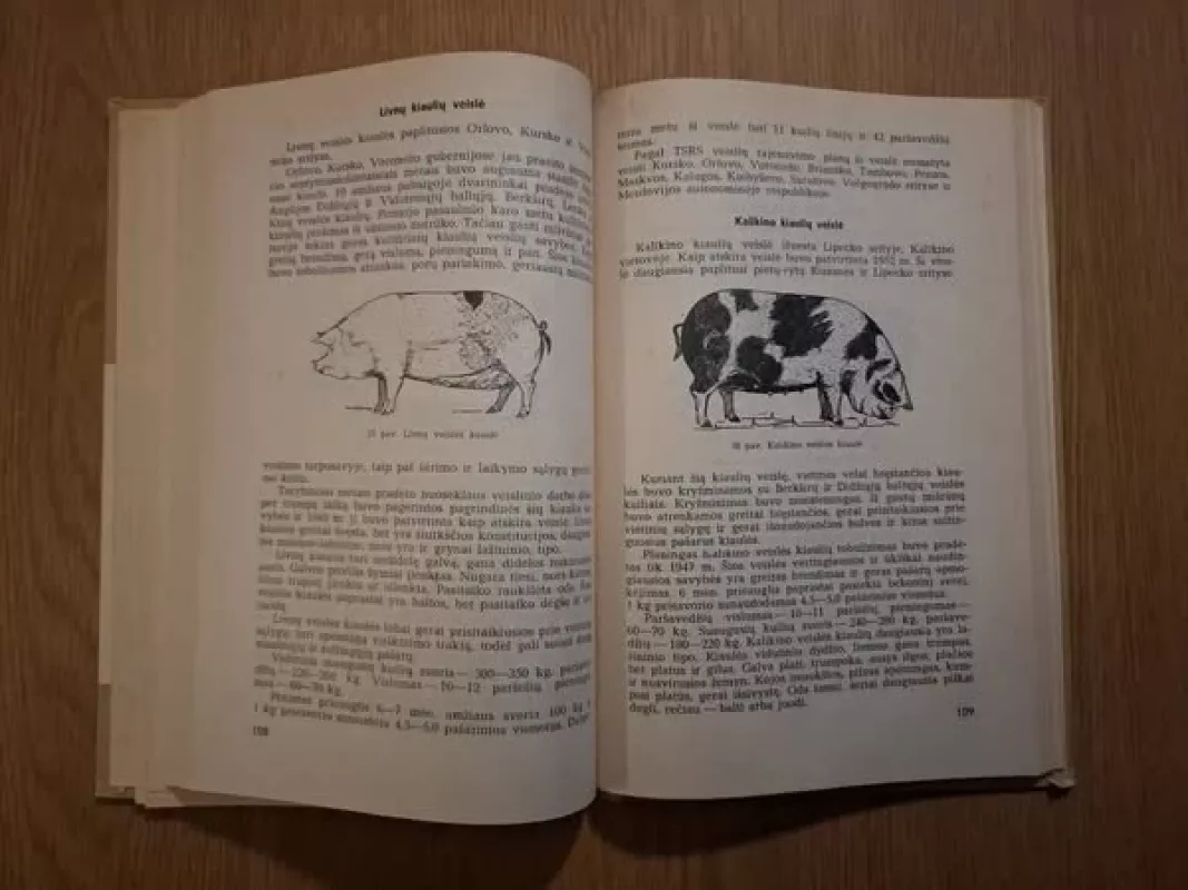 Kiaulininkystė - Dominykas Kukenys, knyga 3