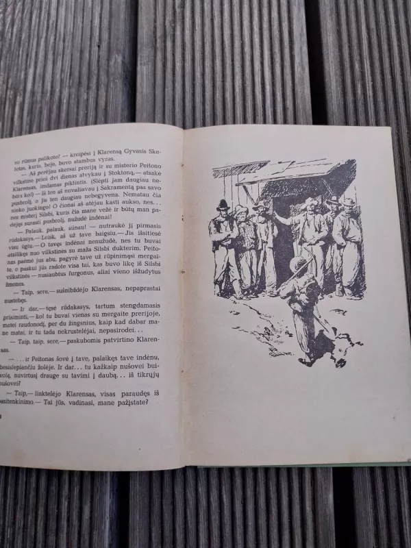 Prerijų rastinukas - Bret Hartas, knyga 4