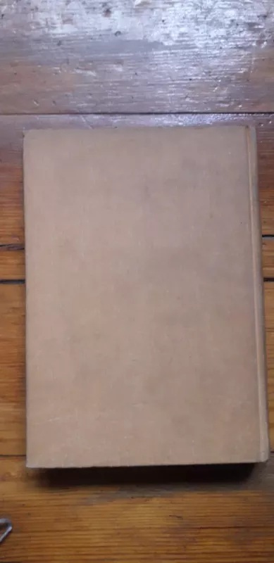 Dvidešimtās Pāvāsāris - Justinas Marcinkevičius, knyga 4