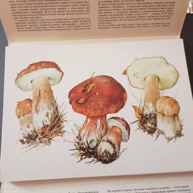 Raskaz o sta gribax - A.K.Sipilenko, knyga 4