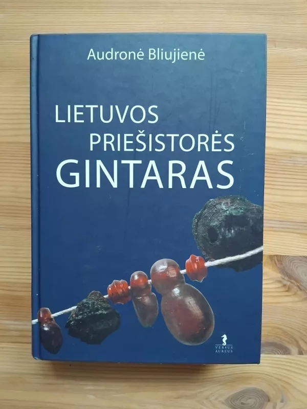 Lietuvos priešistorės gintaras - Audronė Bliujienė, knyga 2