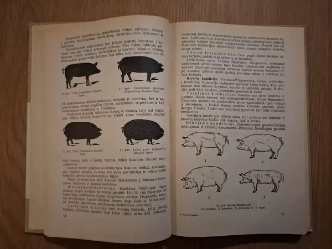 Kiaulininkystė - Dominykas Kukenys, knyga 6