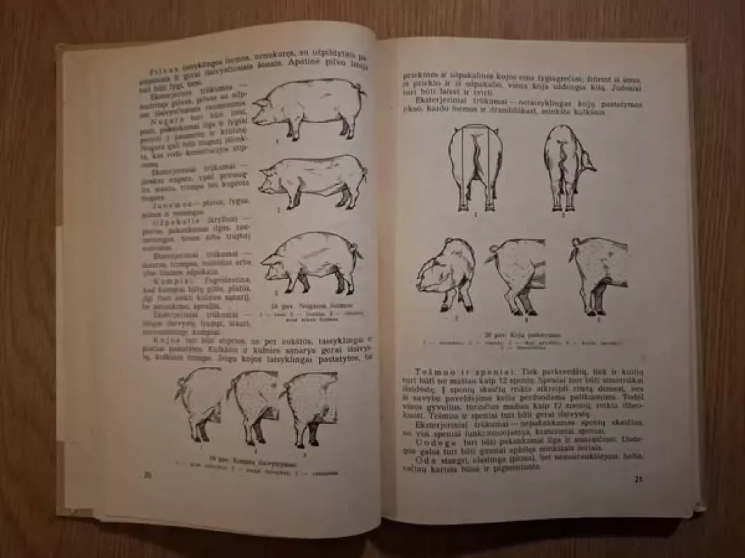 Kiaulininkystė - Dominykas Kukenys, knyga 5