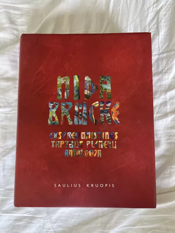 NIDA. BRÜCKE. Ekspresionistinės tapybos plenerų antologija - Saulius Kruopis, knyga 2