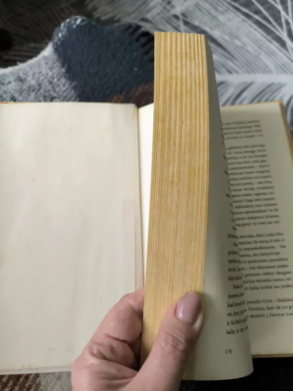 Agnesė Grėj - Anne Bronte, knyga 5