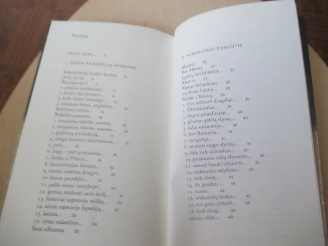 Lakštingalų Airijoje nėr - Diana Paklonskaitė, knyga 6