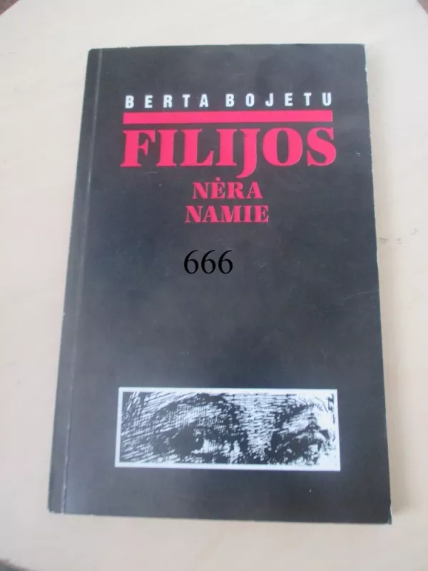 Filijos nėra namie - Berta Bojetu, knyga 2