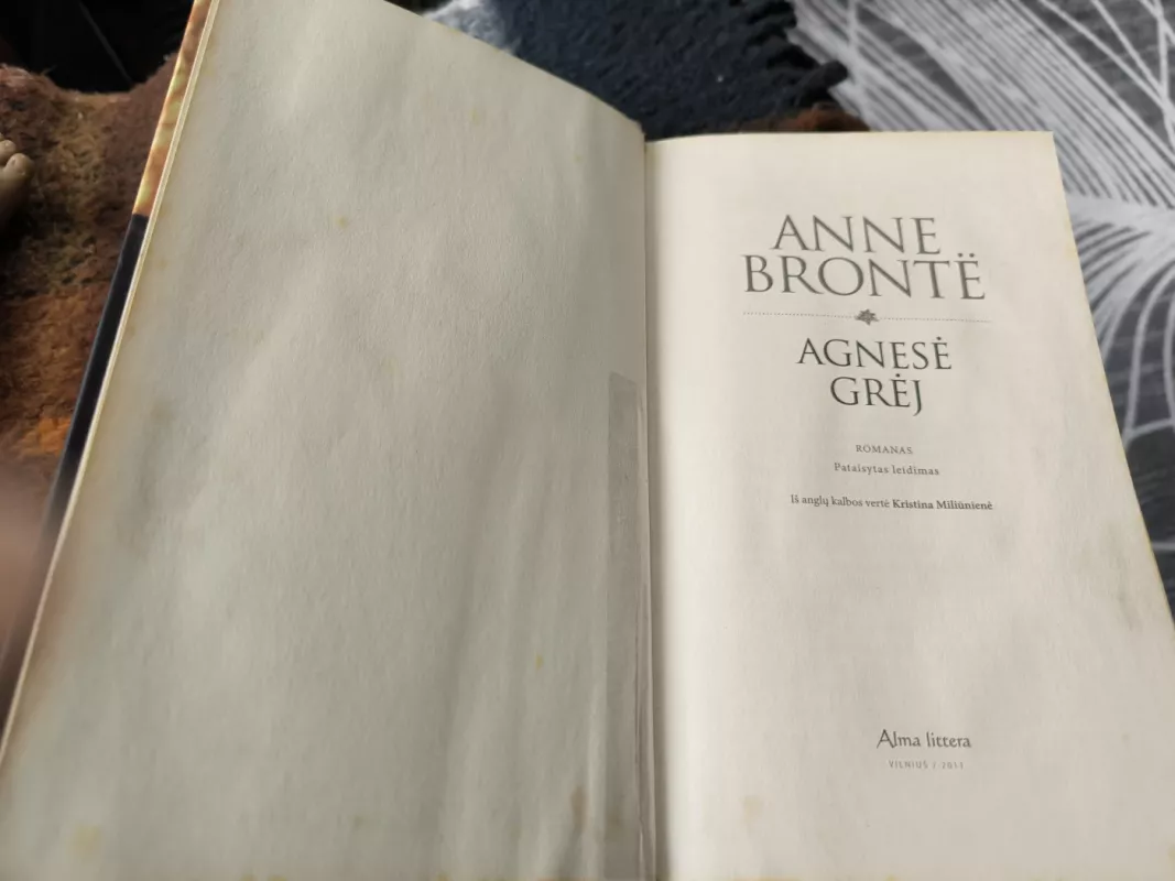 Agnesė Grėj - Anne Bronte, knyga 6