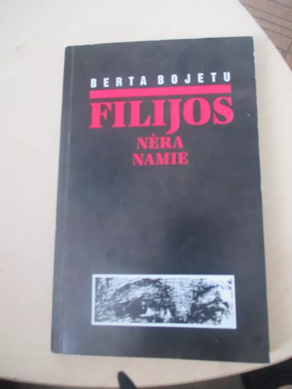Filijos nėra namie - Berta Bojetu, knyga 4