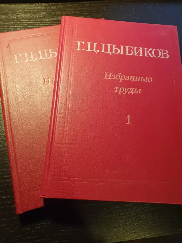 Izbrannye trudy (1 ir 2 tomai) - Cybikov G., knyga 2