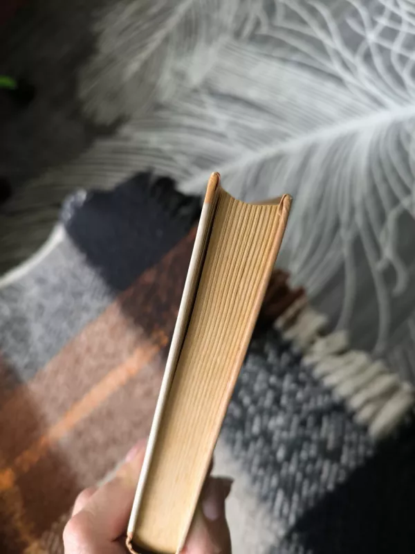 Agnesė Grėj - Anne Bronte, knyga 4