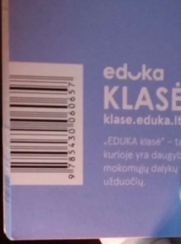 Nendrė. Etikos pratybų sąsiuvinis III klasei (serija „Šok“) - Rūta Girdzijauskienė, Ingrida  Bertulienė, knyga 4