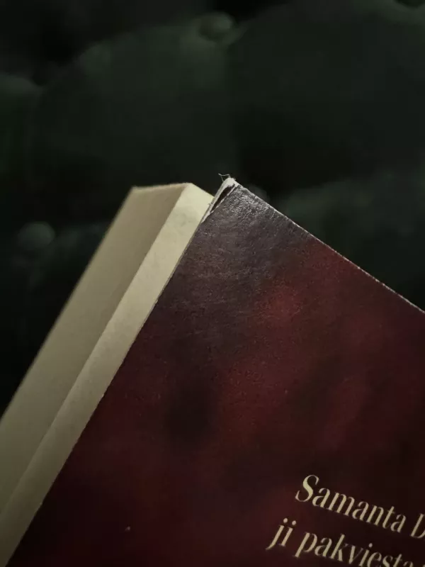 Vestuviu svečias - Zara Stoneley, knyga 3