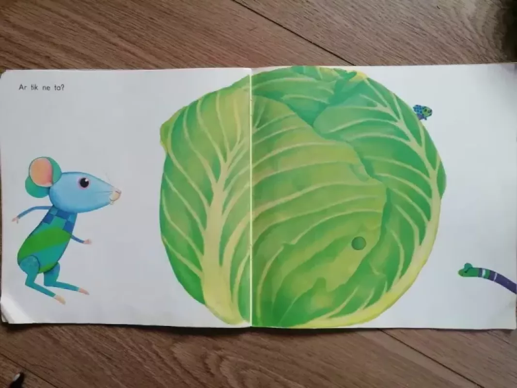 Kaip peliukas uodegos ieškojo - Katryna Viljama-Risanen, knyga 4