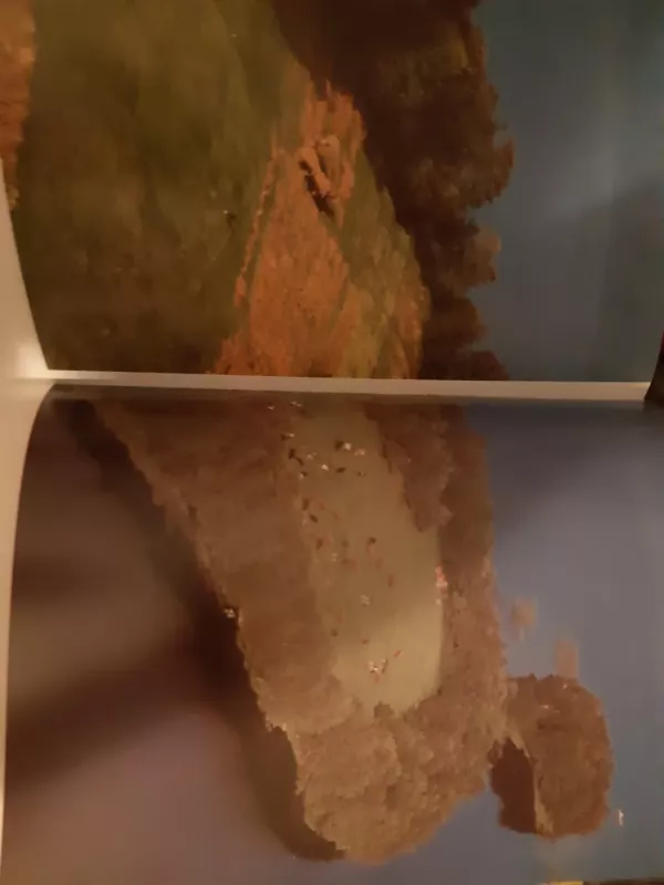 Daina Lietuvai - Antanas Sutkus, knyga 4