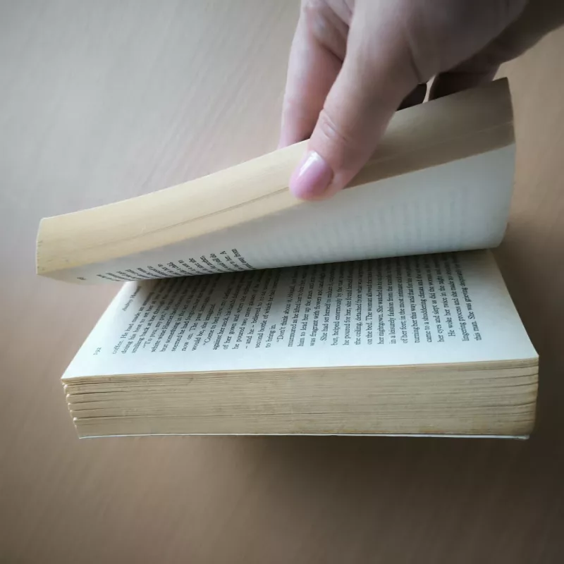 Reflections from the past - Audrey Howard, knyga 4