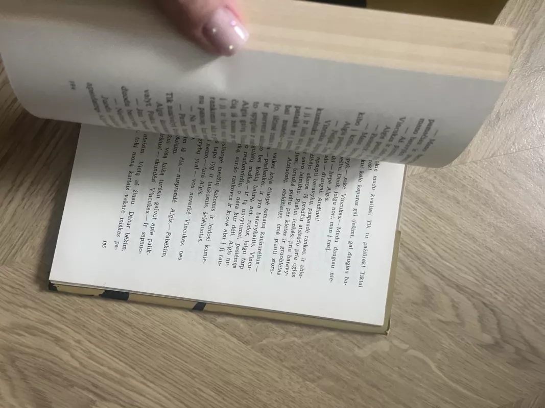 Girėnai - Vytautas Rimkevičius, knyga 5