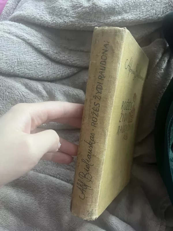 Rožės žydi raudonai - Alfonsas Bieliauskas, knyga 6