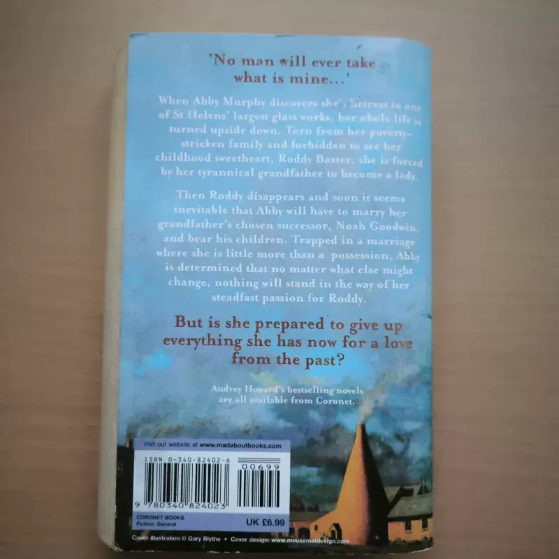 Reflections from the past - Audrey Howard, knyga 3