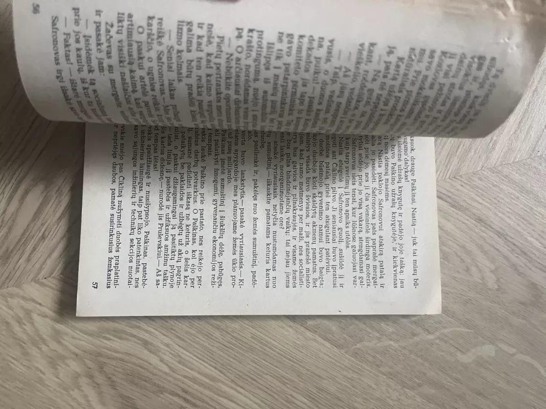 Duobė - Andrejus Platonovas, knyga 4