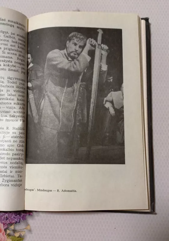 Aktorius teatro veidrodyje - Dana Rutkutė, knyga 4