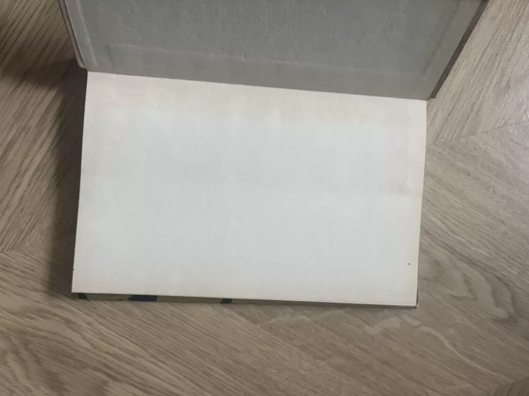 Girėnai - Vytautas Rimkevičius, knyga 3