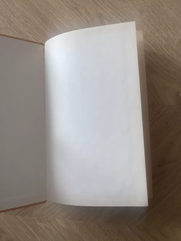 Žiedas - Danielė Styl, knyga 5