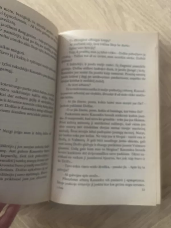 Žiedas - Danielė Styl, knyga 4