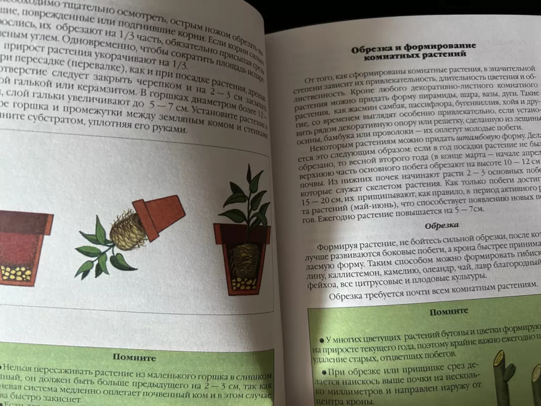 Komnatnye rasteniya / Kambariniai augalai - V. V. Voroncov, knyga 4