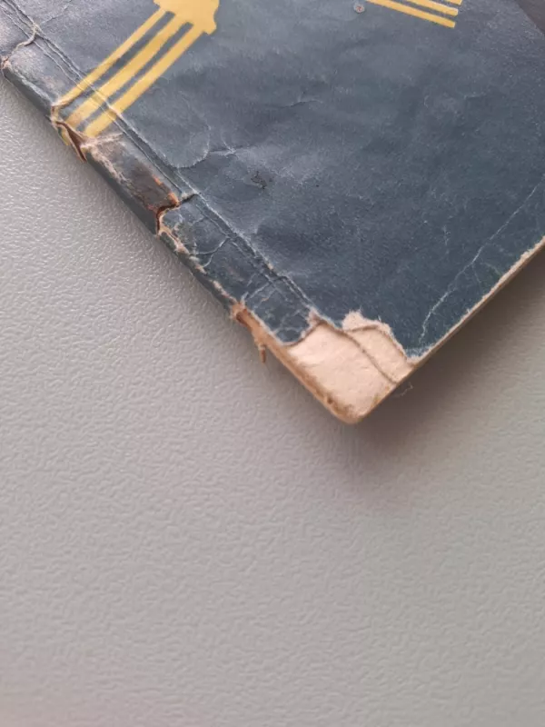 Puslaidininkiai triodai - V. Zgirskis, knyga 5