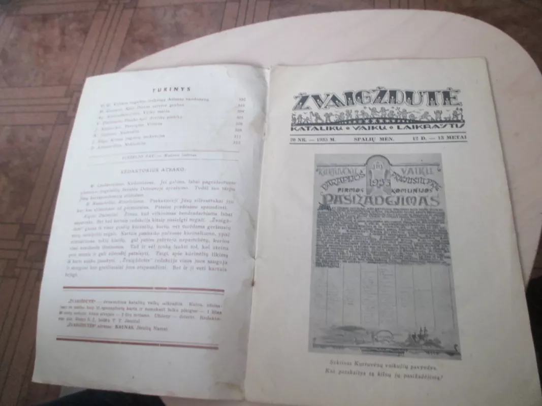 Žvaigždutė 1935 m. Nr. 20 - Autorių Kolektyvas, knyga 6